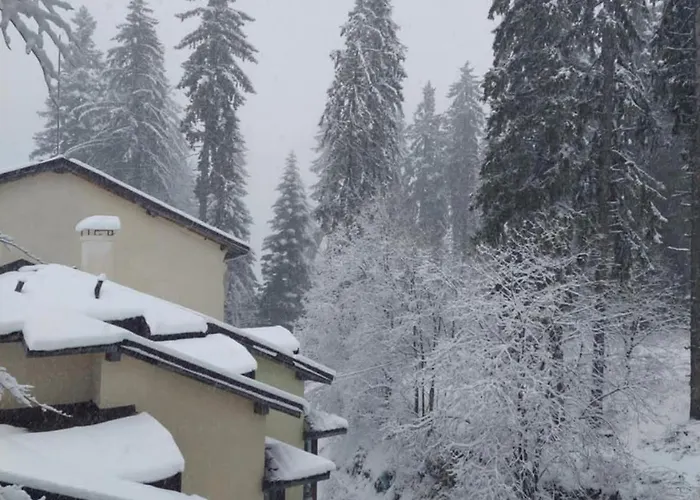 Apartment уютен за зимна почивка в *